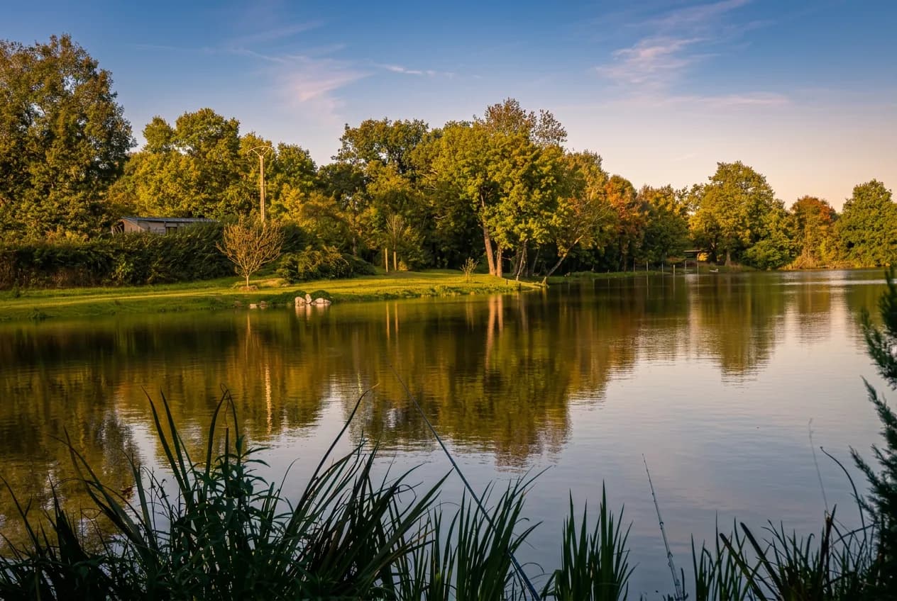 Vue panoramique de l'étang privé de 9 hectares au Le Moulin de la Fontaine, entouré d'arbres au coucher du soleil