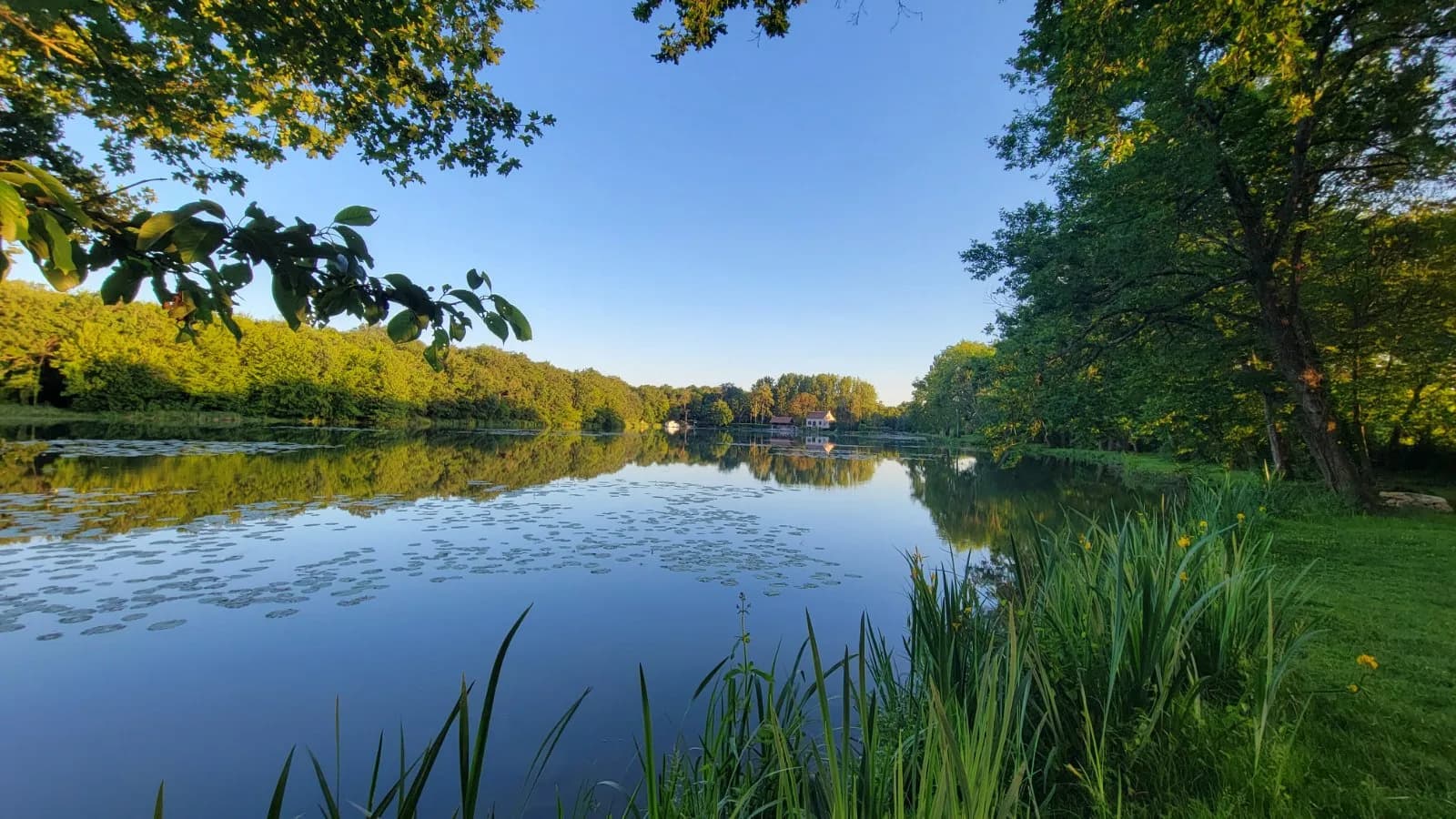 Le Camping au bord de l'étang